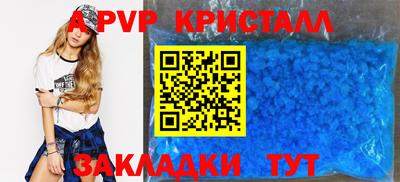 индика Пугачёв