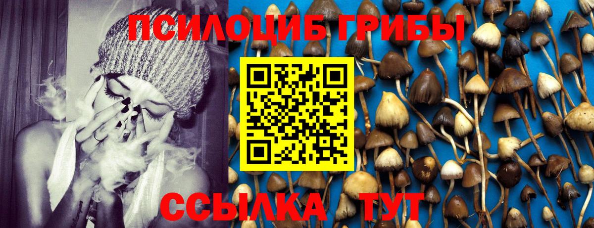Псилоцибиновые грибы Psilocybine cubensis  как найти закладки  Ржев  Вход с VPN 